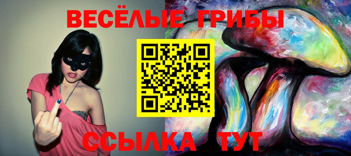 Галлюциногенные грибы MAGIC MUSHROOMS Борзя