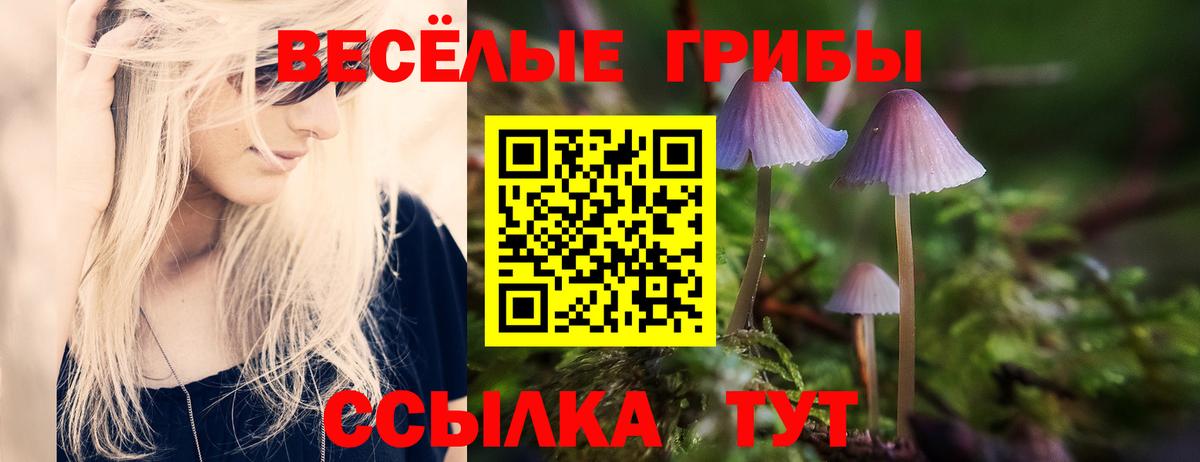 Галлюциногенные грибы GOLDEN TEACHER  Вход с VPN  Псилоцибиновые грибы мицелий  Борзя 